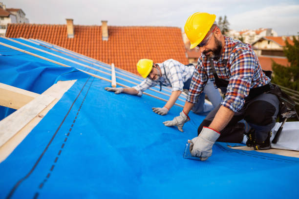 Best Roof Repair Specialists  in Hazlehurst, GA