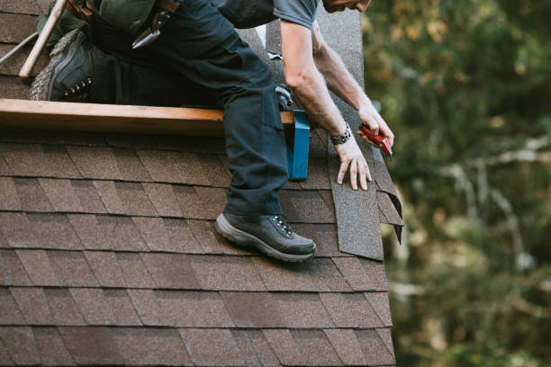 Best Roof Gutter Cleaning  in Hazlehurst, GA