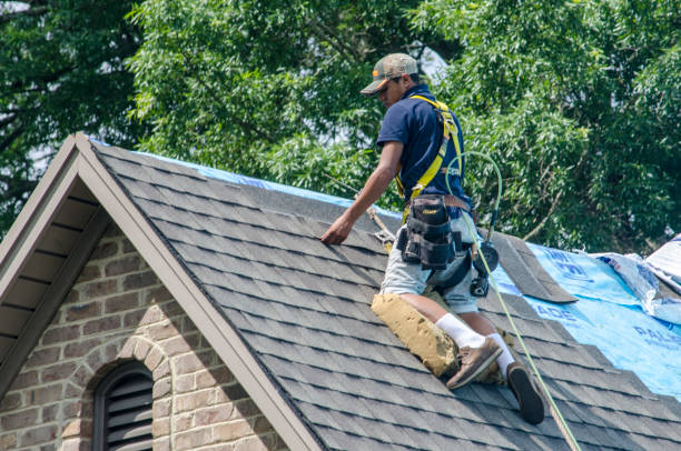 Best Residential Roofing Contractor  in Hazlehurst, GA